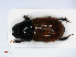  ( - RMNH.INS.536698)  @11 [ ] CreativeCommons - Attribution Non-Commercial Share-Alike (2013) Unspecified Naturalis Biodiversity Center