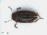  ( - RMNH.INS.542471)  @11 [ ] CreativeCommons - Attribution Non-Commercial Share-Alike (2013) Unspecified Naturalis Biodiversity Center