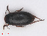  ( - RMNH.INS.542603)  @13 [ ] CreativeCommons - Attribution Non-Commercial Share-Alike (2013) Unspecified Naturalis Biodiversity Center