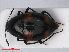  ( - RMNH.INS.536286)  @13 [ ] CreativeCommons - Attribution Non-Commercial Share-Alike (2012) Unspecified Naturalis, Biodiversity Centre