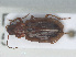  ( - RMNH.5010839)  @11 [ ] CreativeCommons - Attribution Non-Commercial Share-Alike (2013) Unspecified Naturalis Biodiversity Center