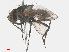  ( - RMNH.INS.545813)  @13 [ ] CreativeCommons - Attribution Non-Commercial Share-Alike (2013) Unspecified Naturalis Biodiversity Center