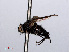  ( - RMNH.INS.546636)  @11 [ ] CreativeCommons - Attribution Non-Commercial Share-Alike (2013) Unspecified Naturalis Biodiversity Center