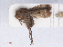  ( - RMNH.INS.551993)  @11 [ ] CreativeCommons - Attribution Non-Commercial Share-Alike (2013) Unspecified Naturalis Biodiversity Center