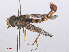 ( - RMNH.INS.553307)  @11 [ ] CreativeCommons - Attribution Non-Commercial Share-Alike (2013) Unspecified Naturalis Biodiversity Center