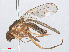  ( - RMNH.INS.553367)  @11 [ ] CreativeCommons - Attribution Non-Commercial Share-Alike (2013) Unspecified Naturalis Biodiversity Center