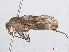 ( - RMNH.INS.553459)  @13 [ ] CreativeCommons - Attribution Non-Commercial Share-Alike (2013) Unspecified Naturalis Biodiversity Center