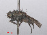  ( - RMNH.INS.553725)  @13 [ ] CreativeCommons - Attribution Non-Commercial Share-Alike (2013) Unspecified Naturalis Biodiversity Center