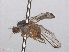  ( - RMNH.INS.553830)  @12 [ ] CreativeCommons - Attribution Non-Commercial Share-Alike (2013) Unspecified Naturalis Biodiversity Center