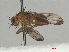  ( - RMNH.INS.559410)  @11 [ ] CreativeCommons - Attribution Non-Commercial Share-Alike (2013) Unspecified Naturalis Biodiversity Center