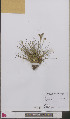  ( - L 0893309)  @11 [ ] CreativeCommons - Attribution Non-Commercial Share-Alike (2012) Naturalis Biodiversity center Naturalis Biodiversity center