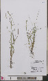  ( - L 0893199)  @11 [ ] CreativeCommons - Attribution Non-Commercial Share-Alike (2012) Naturalis Biodiversity center Naturalis Biodiversity center