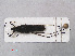  ( - RMNH.INS.536783)  @11 [ ] CreativeCommons - Attribution Non-Commercial Share-Alike (2013) Unspecified Naturalis Biodiversity Center