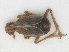  ( - RMNH.INS.548078)  @11 [ ] CreativeCommons - Attribution Non-Commercial Share-Alike (2013) Unspecified Naturalis Biodiversity Center