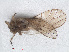  ( - RMNH.INS.548186)  @11 [ ] CreativeCommons - Attribution Non-Commercial Share-Alike (2013) Unspecified Naturalis Biodiversity Center