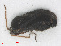  ( - RMNH.INS.552912)  @11 [ ] CreativeCommons - Attribution Non-Commercial Share-Alike (2013) Unspecified Naturalis Biodiversity Center