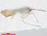  ( - RMNH.INS.558176)  @11 [ ] CreativeCommons - Attribution Non-Commercial Share-Alike (2013) Unspecified Naturalis Biodiversity Center