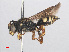  ( - RMNH.INS.553013)  @14 [ ] CreativeCommons - Attribution Non-Commercial Share-Alike (2013) Unspecified Naturalis Biodiversity Center