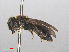  ( - RMNH.INS.553068)  @13 [ ] CreativeCommons - Attribution Non-Commercial Share-Alike (2013) Unspecified Naturalis Biodiversity Center