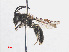 ( - RMNH.INS.553088)  @12 [ ] CreativeCommons - Attribution Non-Commercial Share-Alike (2013) Unspecified Naturalis Biodiversity Center