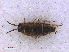  ( - RMNH.CRUS.I.7319)  @11 [ ] CreativeCommons - Attribution Non-Commercial Share-Alike (2013) Unspecified Naturalis Biodiversity Center