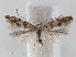  ( - RMNH.INS.538468)  @13 [ ] Unspecified (default): All Rights Reserved  Unspecified Unspecified