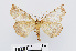  ( - RMNH.INS.538709)  @13 [ ] Unspecified (default): All Rights Reserved  Unspecified Unspecified
