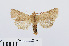 ( - RMNH.INS.538728)  @13 [ ] Unspecified (default): All Rights Reserved  Unspecified Unspecified