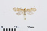  ( - RMNH.INS.538732)  @13 [ ] CreativeCommons - Attribution Non-Commercial Share-Alike (2014) Unspecified Naturalis, Biodiversity Centre