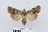  ( - RMNH.INS.538784)  @14 [ ] Unspecified (default): All Rights Reserved  Unspecified Unspecified