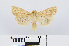  ( - RMNH.INS.538836)  @13 [ ] Unspecified (default): All Rights Reserved  Unspecified Unspecified
