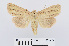  ( - RMNH.INS.538837)  @14 [ ] Unspecified (default): All Rights Reserved  Unspecified Unspecified