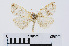  ( - RMNH.INS.538845)  @13 [ ] Unspecified (default): All Rights Reserved  Unspecified Unspecified