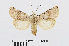  ( - RMNH.INS.538860)  @14 [ ] Unspecified (default): All Rights Reserved  Unspecified Unspecified