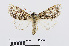  ( - RMNH.INS.539022)  @14 [ ] Unspecified (default): All Rights Reserved  Unspecified Unspecified