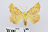  ( - RMNH.INS.539026)  @13 [ ] Unspecified (default): All Rights Reserved  Unspecified Unspecified