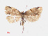  ( - RMNH.INS.539040)  @13 [ ] Unspecified (default): All Rights Reserved  Unspecified Unspecified