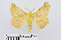  ( - RMNH.INS.539047)  @13 [ ] Unspecified (default): All Rights Reserved  Unspecified Unspecified