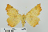 ( - RMNH.INS.539089)  @13 [ ] CreativeCommons - Attribution Non-Commercial Share-Alike (2014) Unspecified Naturalis, Biodiversity Centre