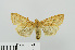  ( - RMNH.INS.539124)  @11 [ ] CreativeCommons - Attribution Non-Commercial Share-Alike (2014) Unspecified Naturalis, Biodiversity Centre