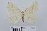  ( - RMNH.INS.540607)  @13 [ ] Unspecified (default): All Rights Reserved  Unspecified Unspecified