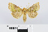  ( - RMNH.INS.540612)  @14 [ ] Unspecified (default): All Rights Reserved  Unspecified Unspecified
