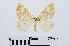  ( - RMNH.INS.540644)  @11 [ ] Unspecified (default): All Rights Reserved  Unspecified Unspecified