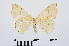  ( - RMNH.INS.540671)  @13 [ ] Unspecified (default): All Rights Reserved  Unspecified Unspecified