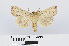  ( - RMNH.INS.540701)  @14 [ ] Unspecified (default): All Rights Reserved  Unspecified Unspecified