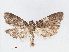  ( - RMNH.INS.540714)  @13 [ ] Unspecified (default): All Rights Reserved  Unspecified Unspecified