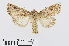  ( - RMNH.INS.540749)  @14 [ ] Unspecified (default): All Rights Reserved  Unspecified Unspecified