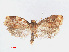  ( - RMNH.INS.540849)  @14 [ ] Unspecified (default): All Rights Reserved  Unspecified Unspecified