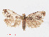  ( - RMNH.INS.540887)  @14 [ ] Unspecified (default): All Rights Reserved  Unspecified Unspecified