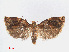  ( - RMNH.INS.540899)  @13 [ ] Unspecified (default): All Rights Reserved  Unspecified Unspecified